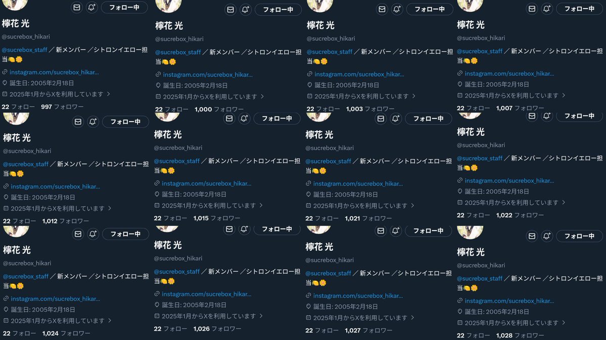 ふさふさ tweet media