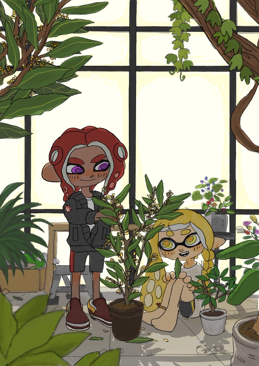 ナップザック tweet media