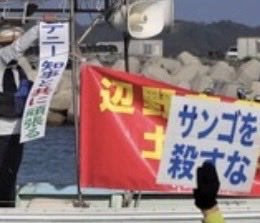 🎌日本一心🎌 tweet media