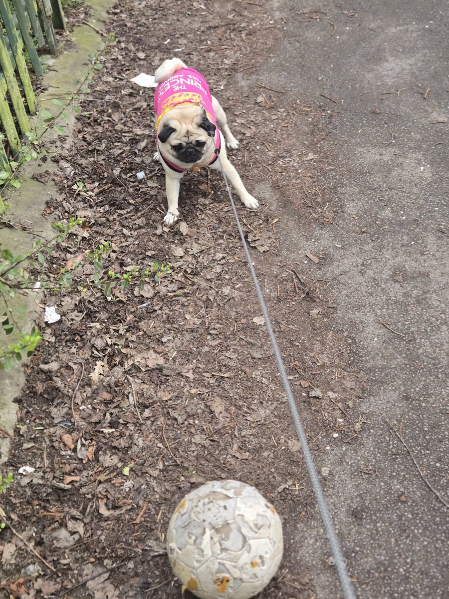 kaylee & daisy 🌼 (@borderline_babe) on Twitter photo 