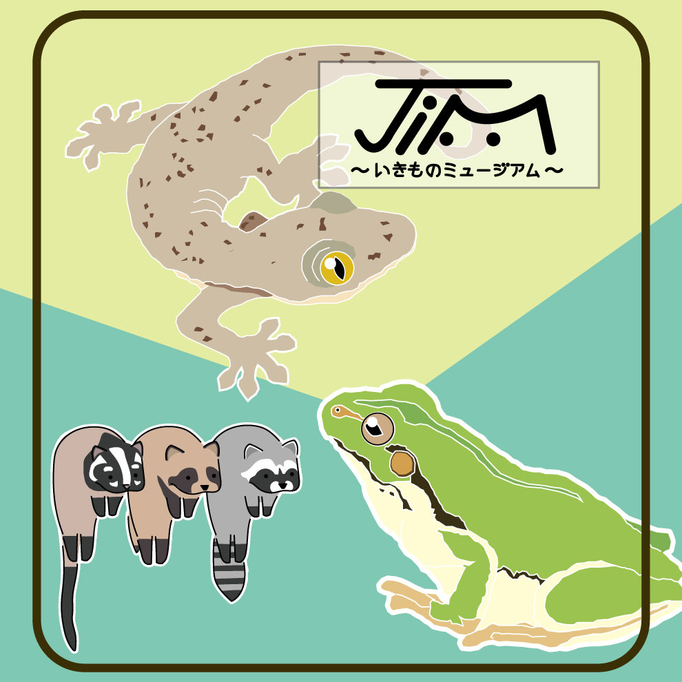 JiM 🐸博物マニア 4/11（土）〜12（日） tweet media