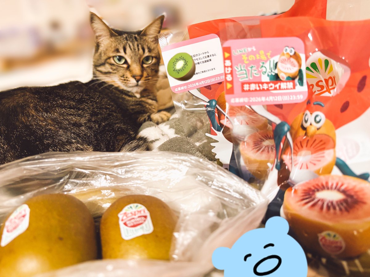 🌞🌞🍌えふた🥝🌞🌞 tweet media