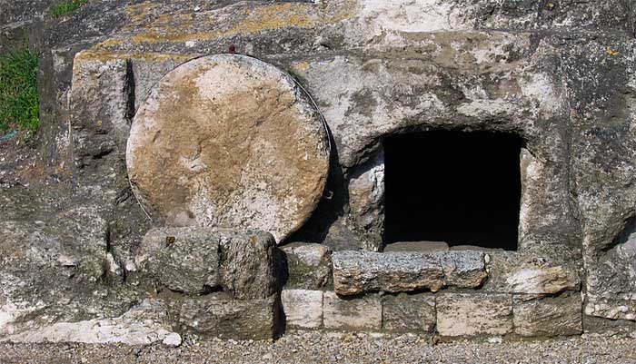 Buttersacker tweet media