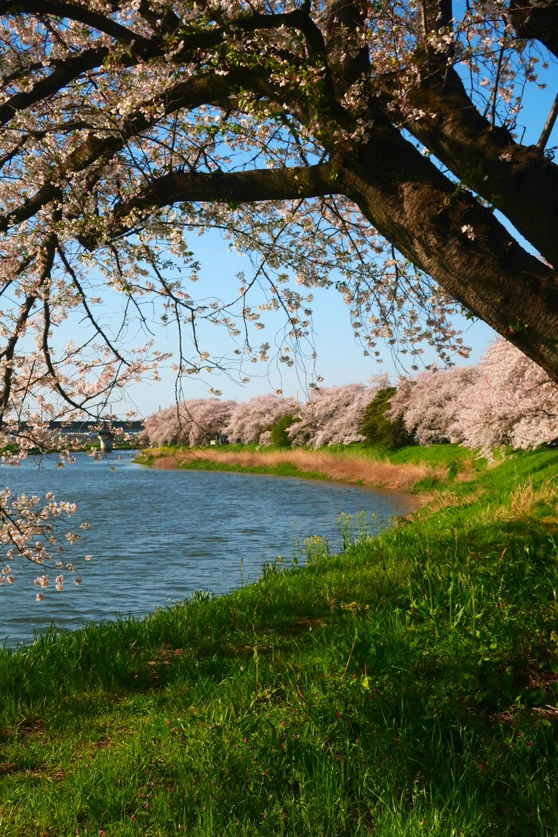 ｫﾑT=з宀 tweet media