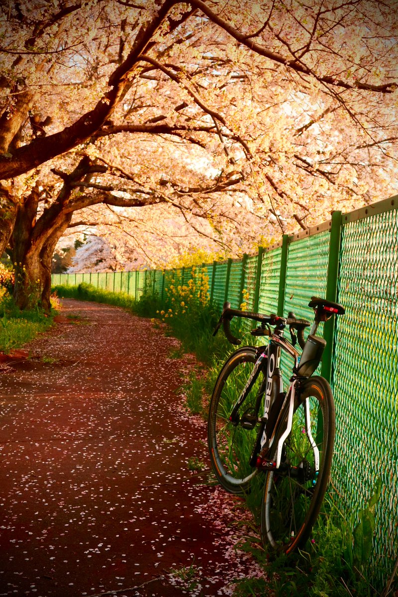 ｫﾑT=з宀 tweet media