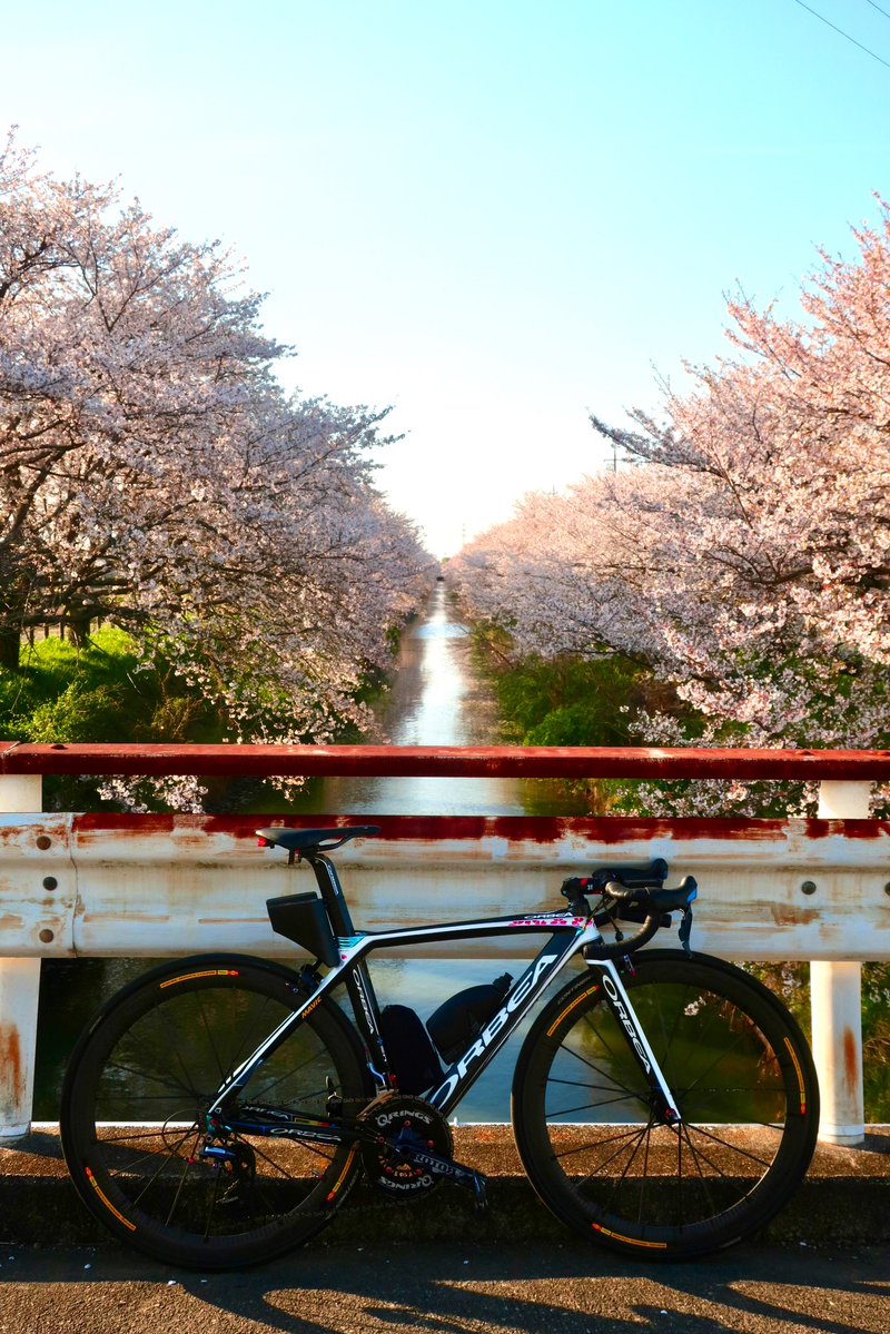 ｫﾑT=з宀 tweet media