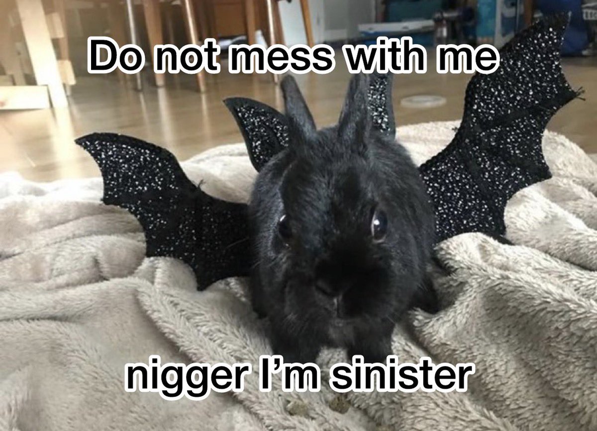 Ｂｕｎｎｙｍａｘｘｅｒ tweet media