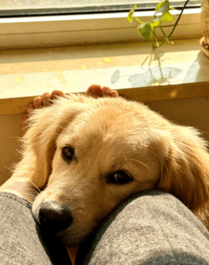 Cindy Sanango tweet media