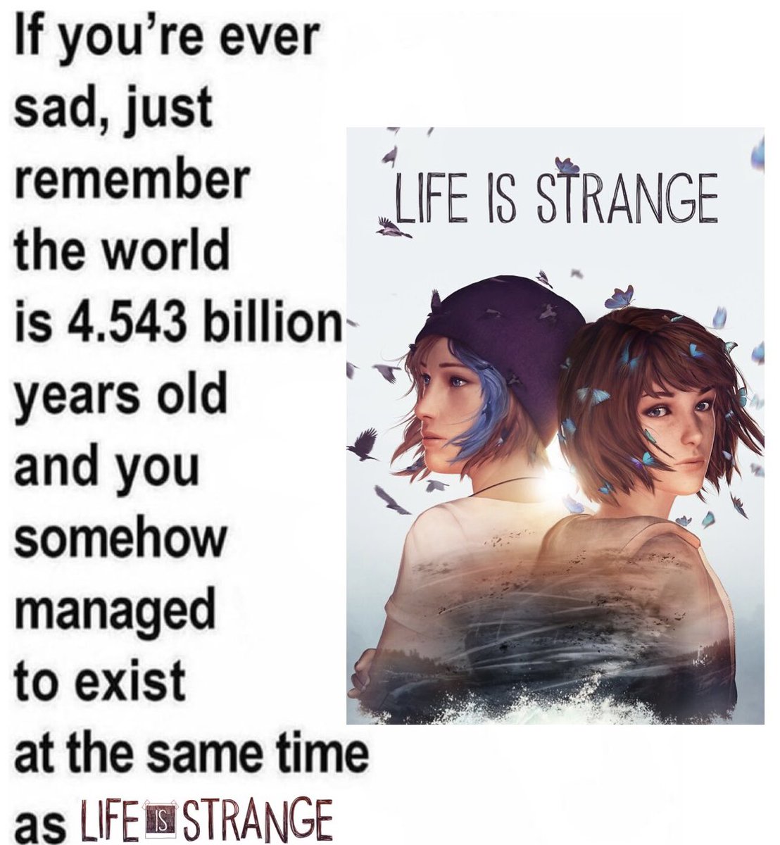 j (@chlorachfc) on Twitter photo 