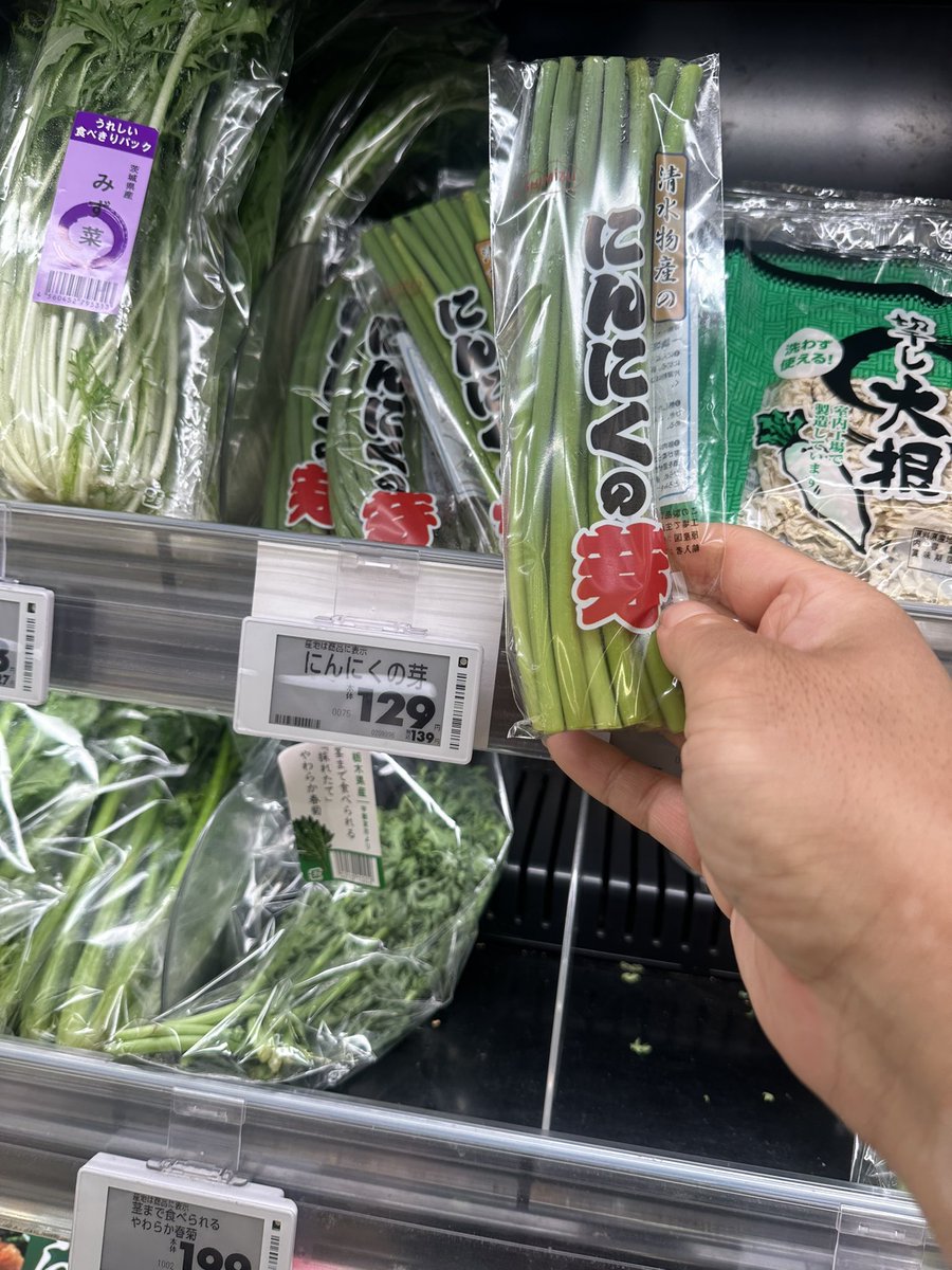 日本大誠不動産·社长老石 tweet media