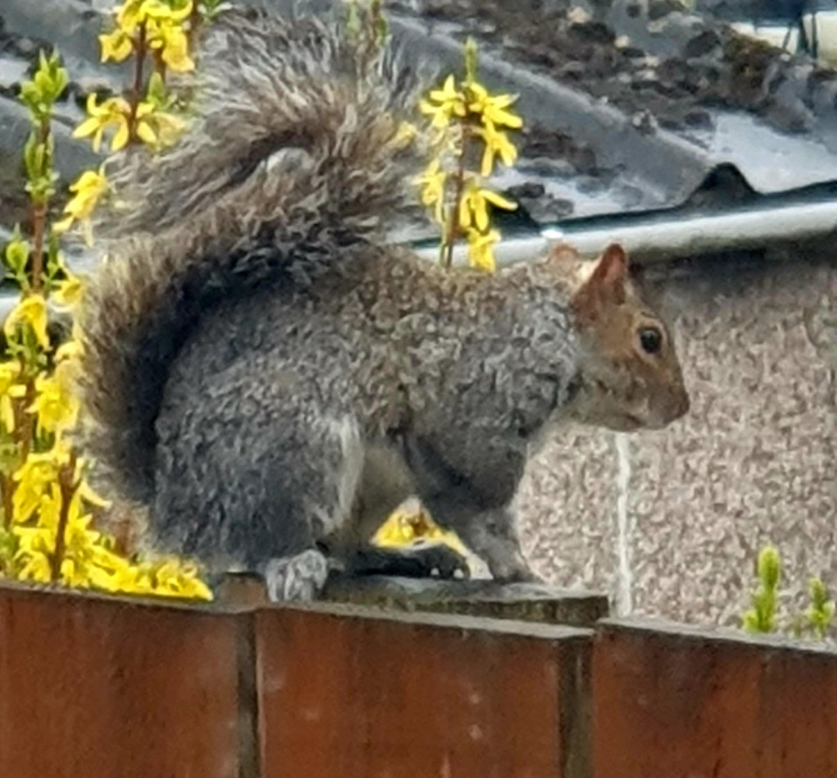 Siobhean 🖤 tweet media