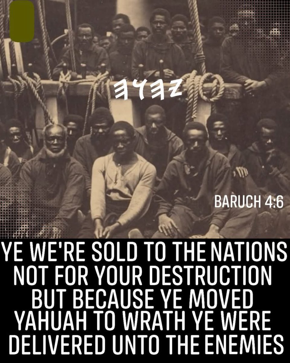 𐤒𐤃𐤔 מירקו tweet media