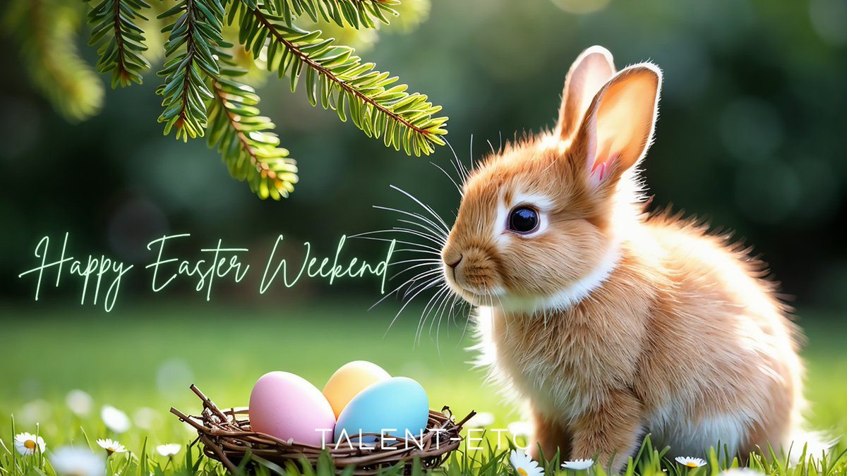 Talent-ETC™ tweet media