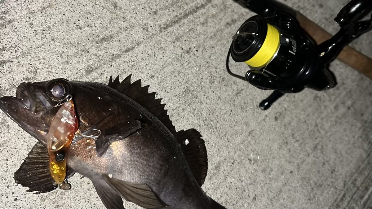 たけやん tweet media