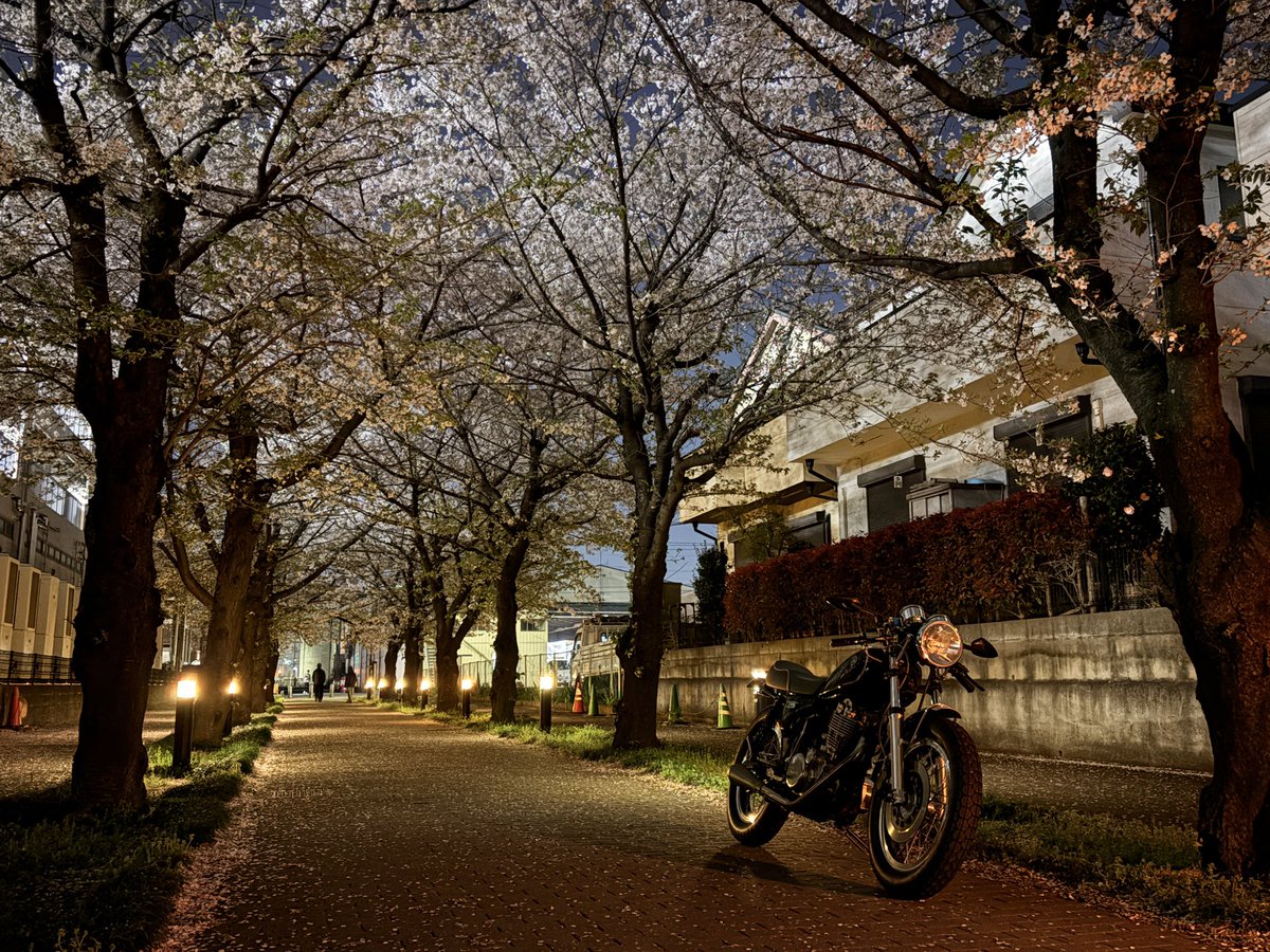 ジョン介 tweet media