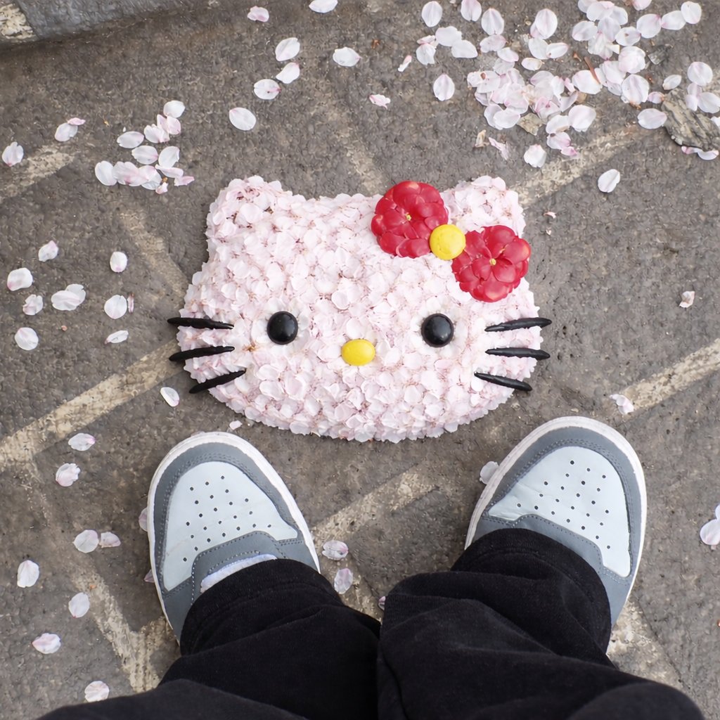 초이호이포이 🧙🏻 tweet media