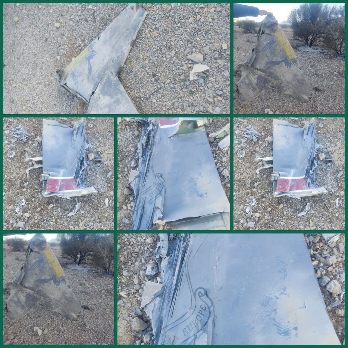 مطهره طاهری tweet media