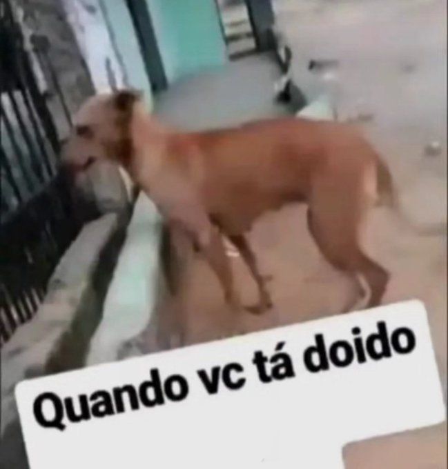 Pô meu sla tweet media