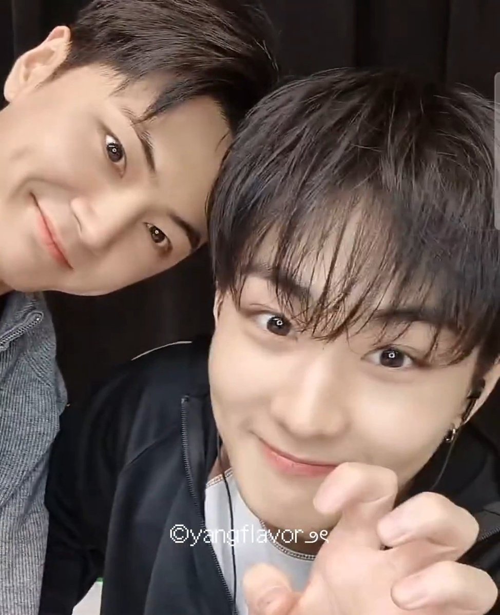 nif 𝜗᭪ tweet media