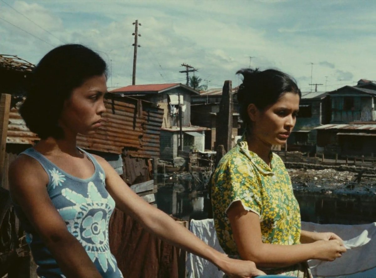 manic pixie dani girl tweet media