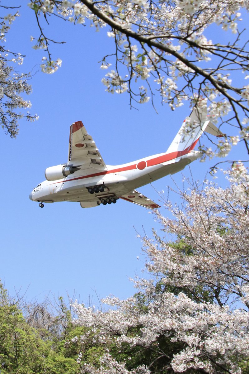 空カエル🐸 tweet media