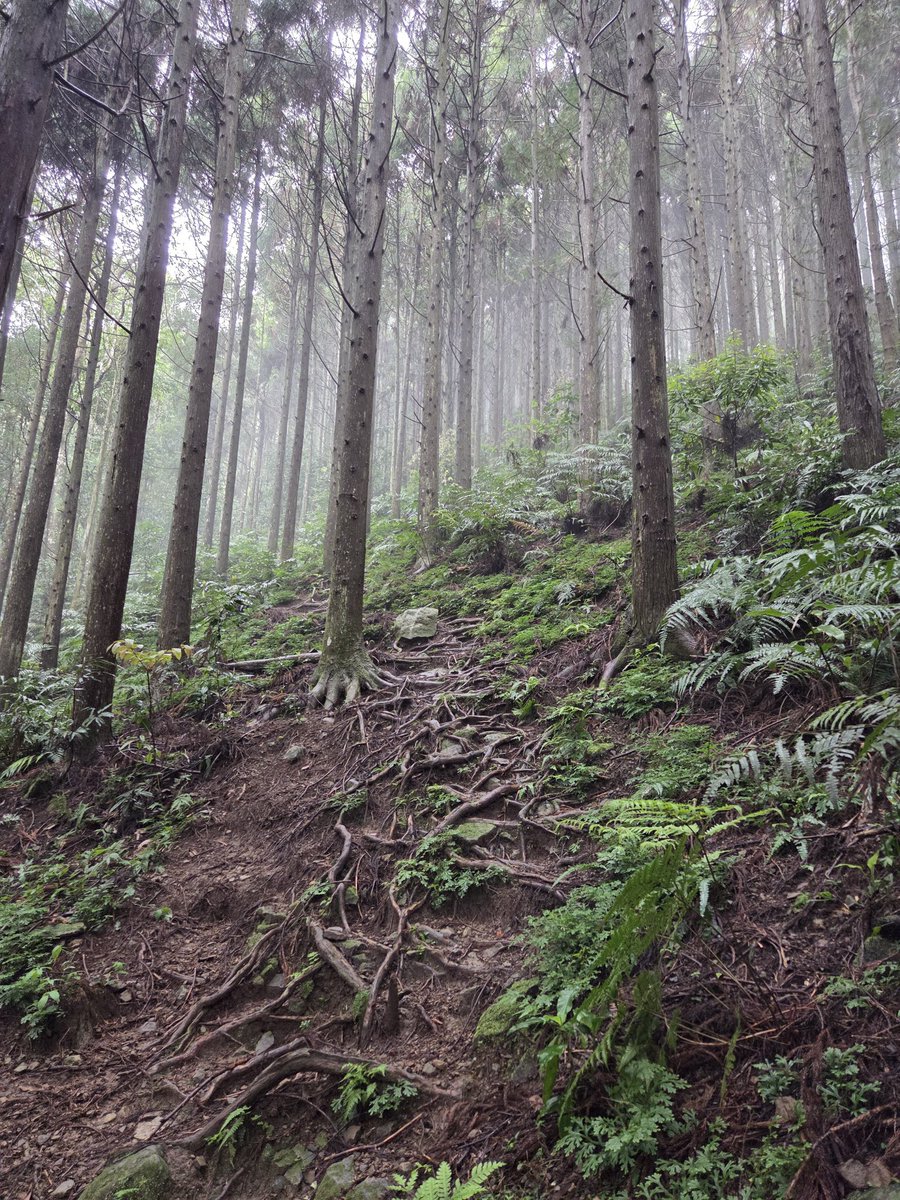 亀ちゃん tweet media