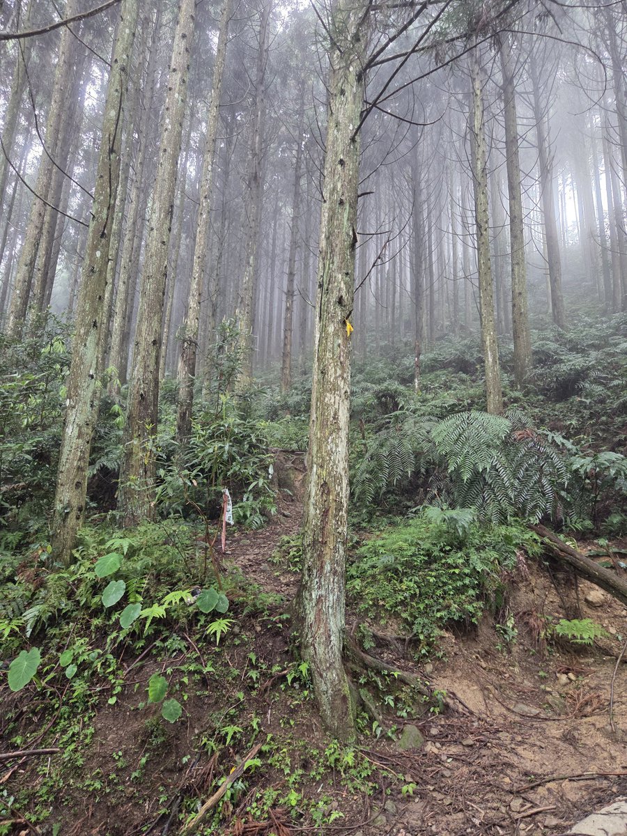 亀ちゃん tweet media