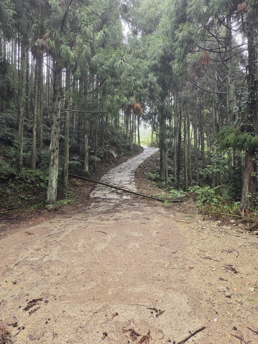 亀ちゃん tweet media