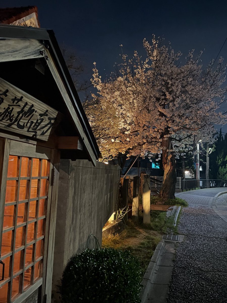 仕事帰りの桜が綺麗だったので、大阪から...
みんなのねがい花咲く京都に
咲子、咲子 #山口咲子🌸
#藤井伸生