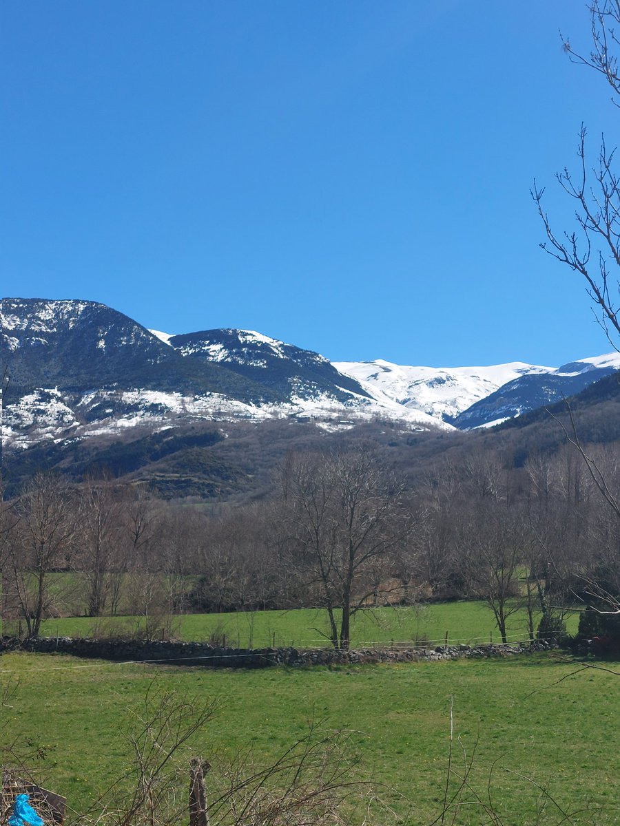 Ricardo Pedrol (@ricardopedrol) on Twitter photo 