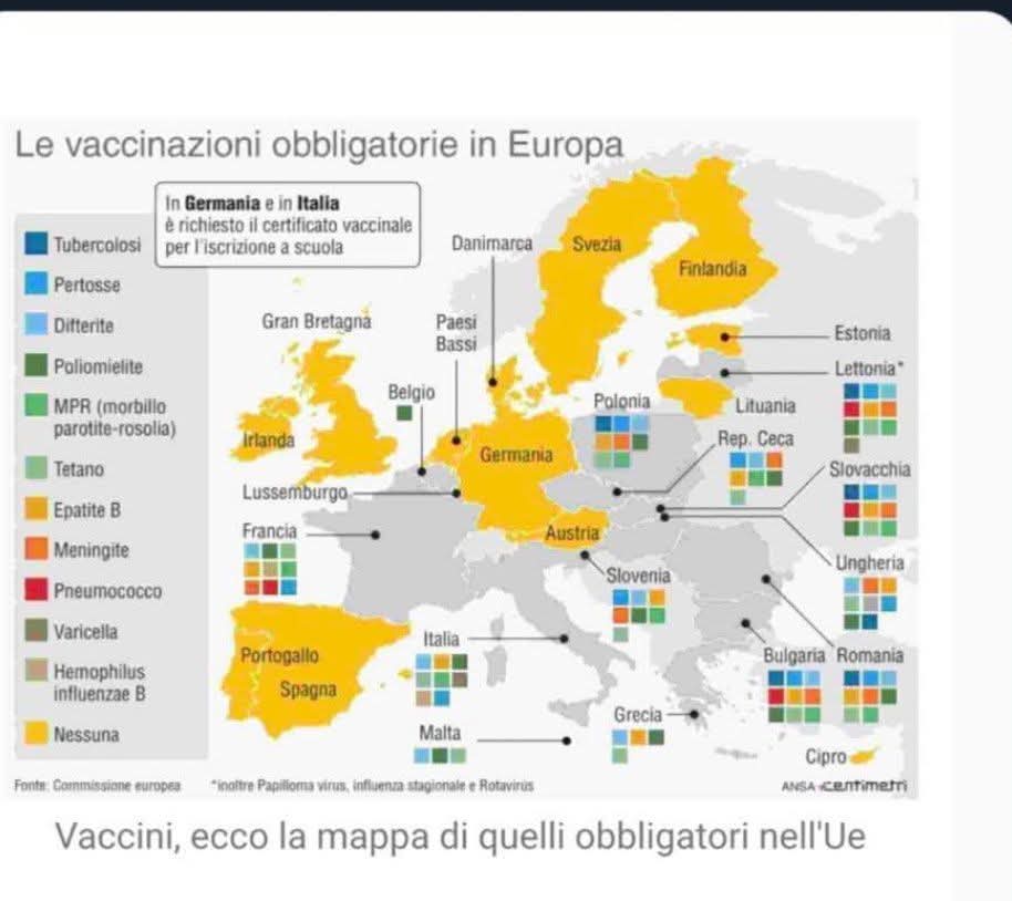Anna 🪄⚡ tweet media
