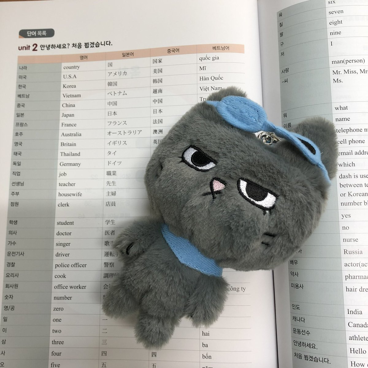 おまめ山 tweet media