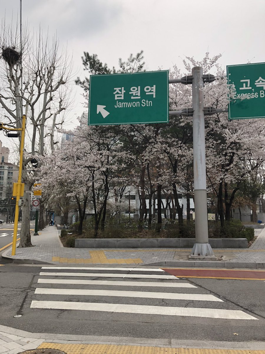 おまめ山 tweet media