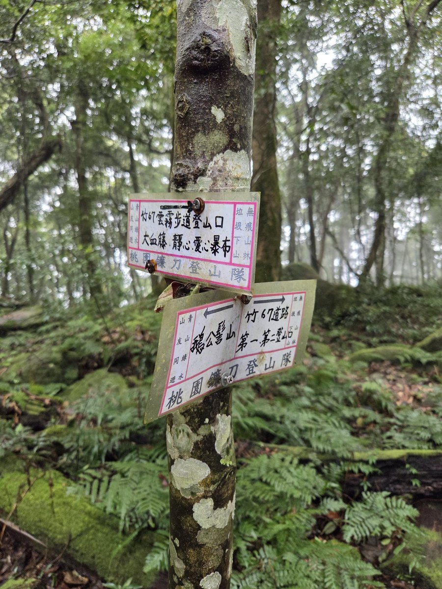 亀ちゃん tweet media