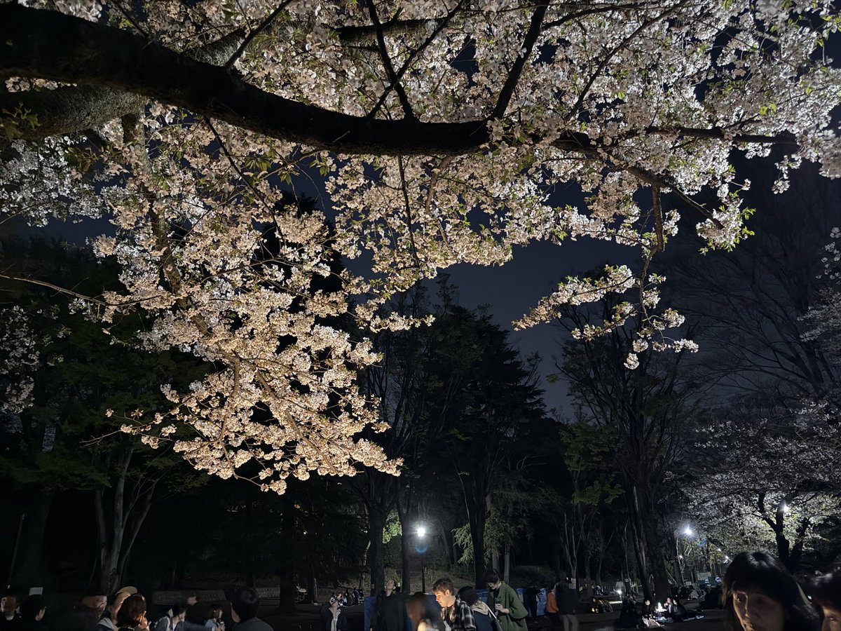 🏮🏮norim🏮 メタバとサマソニ🏮🎄🎍BABYMETAL🎍🎄🏮 tweet media