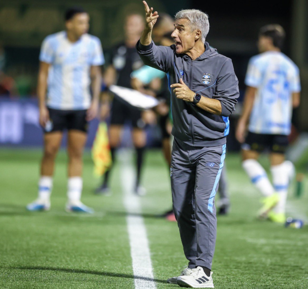 GREMISTÓN tweet media