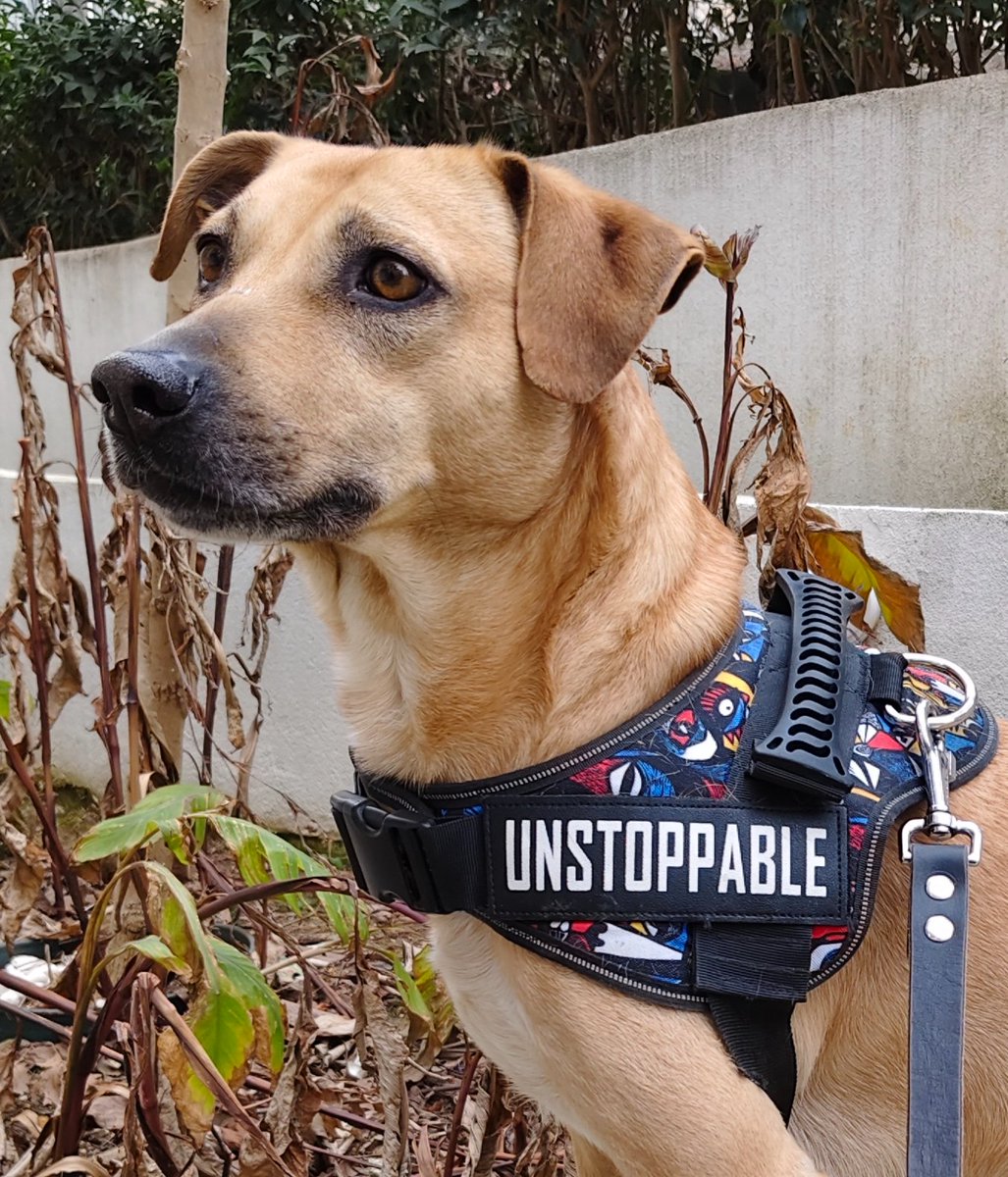 Kemâl Güven tweet media