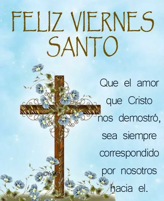 Dana Fleyser tweet media