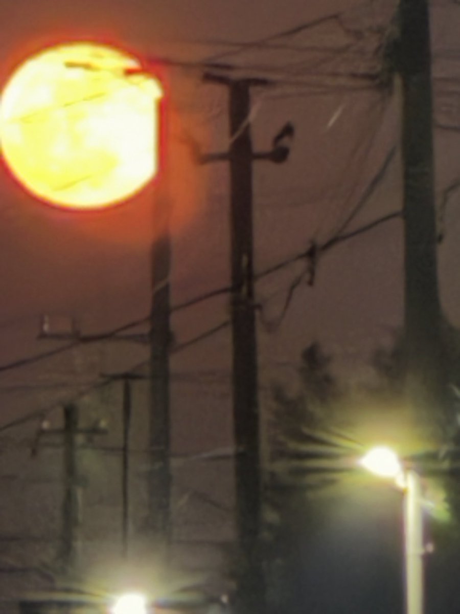 ミナミケ@ドラクエ10 tweet media