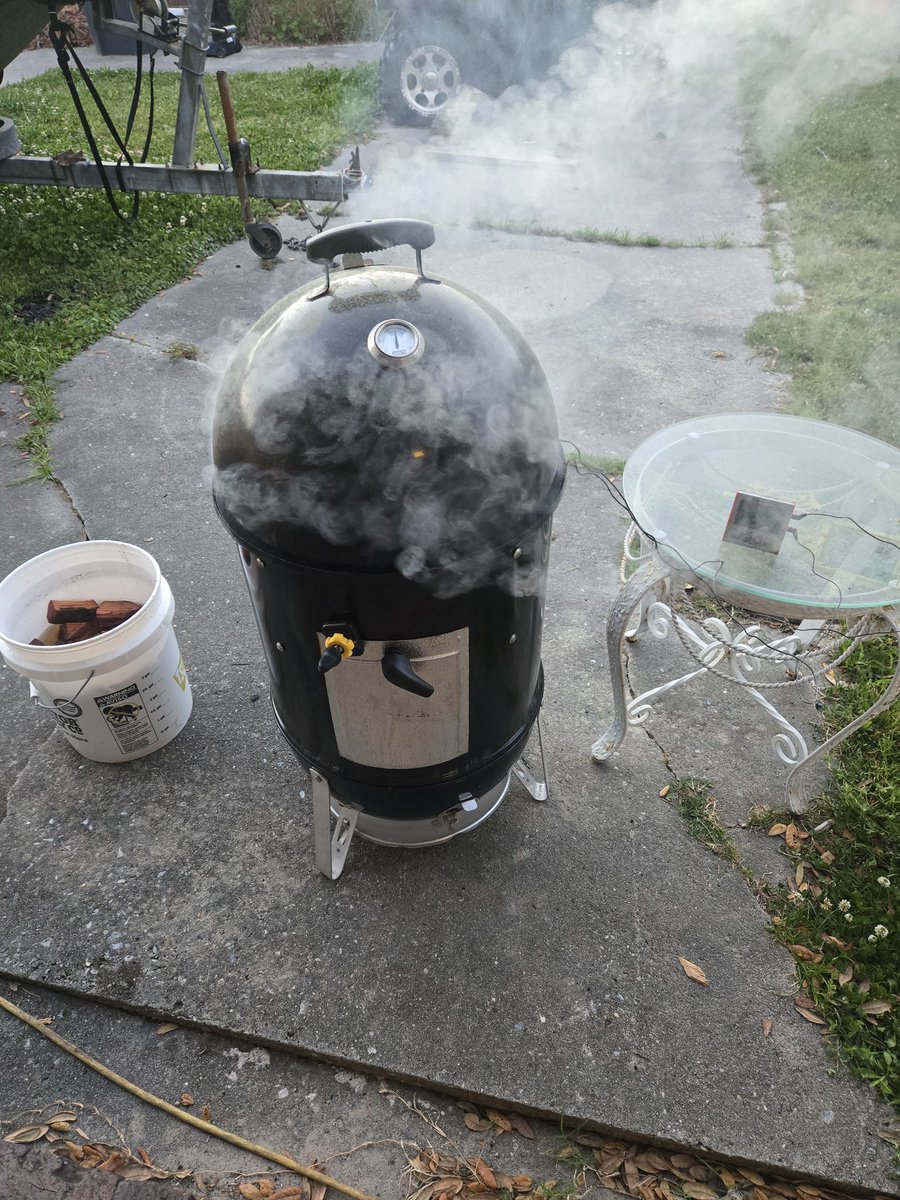 The Bandit! tweet media