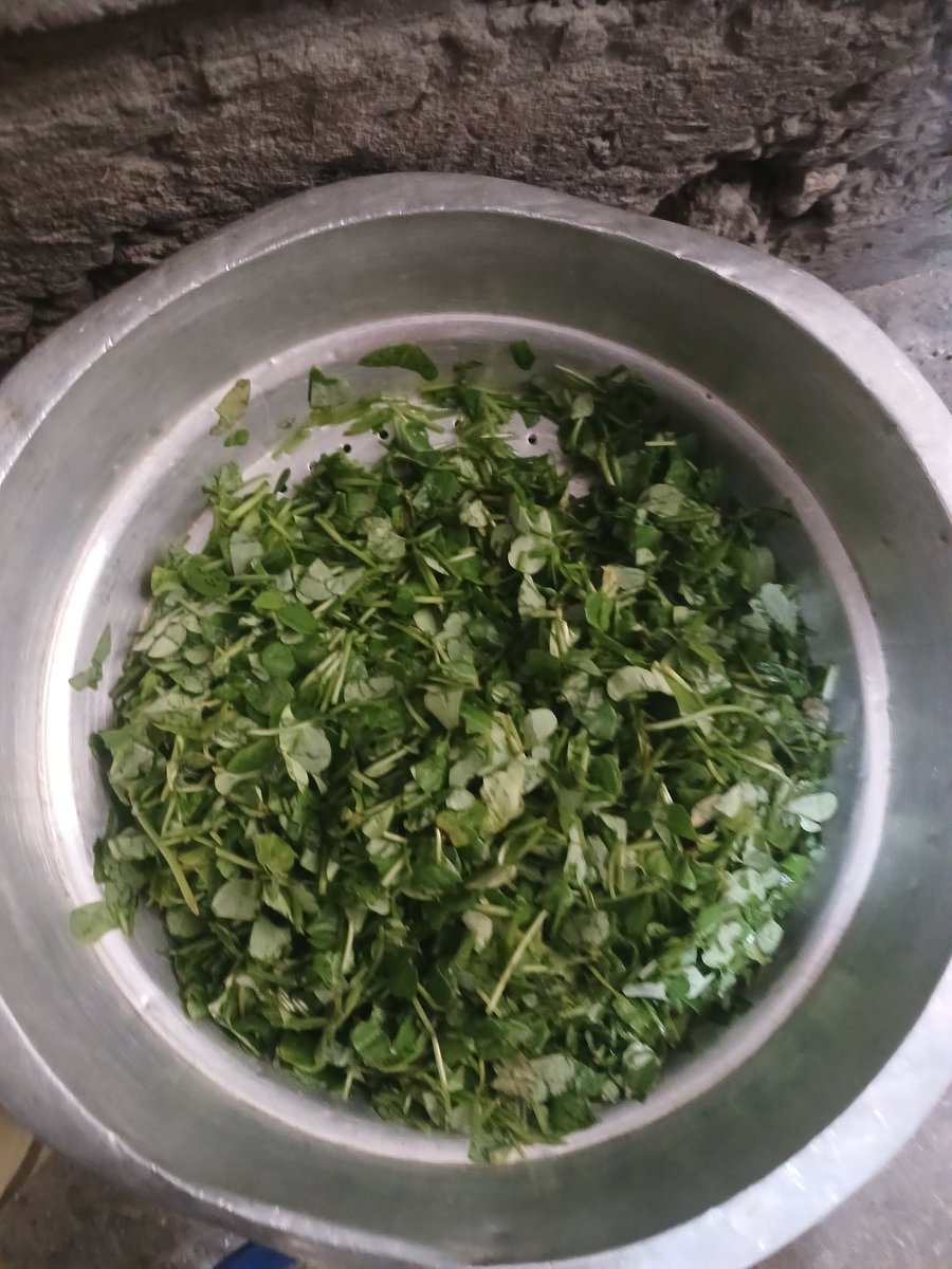 Shereen 𓂆 🇵🇸 tweet media