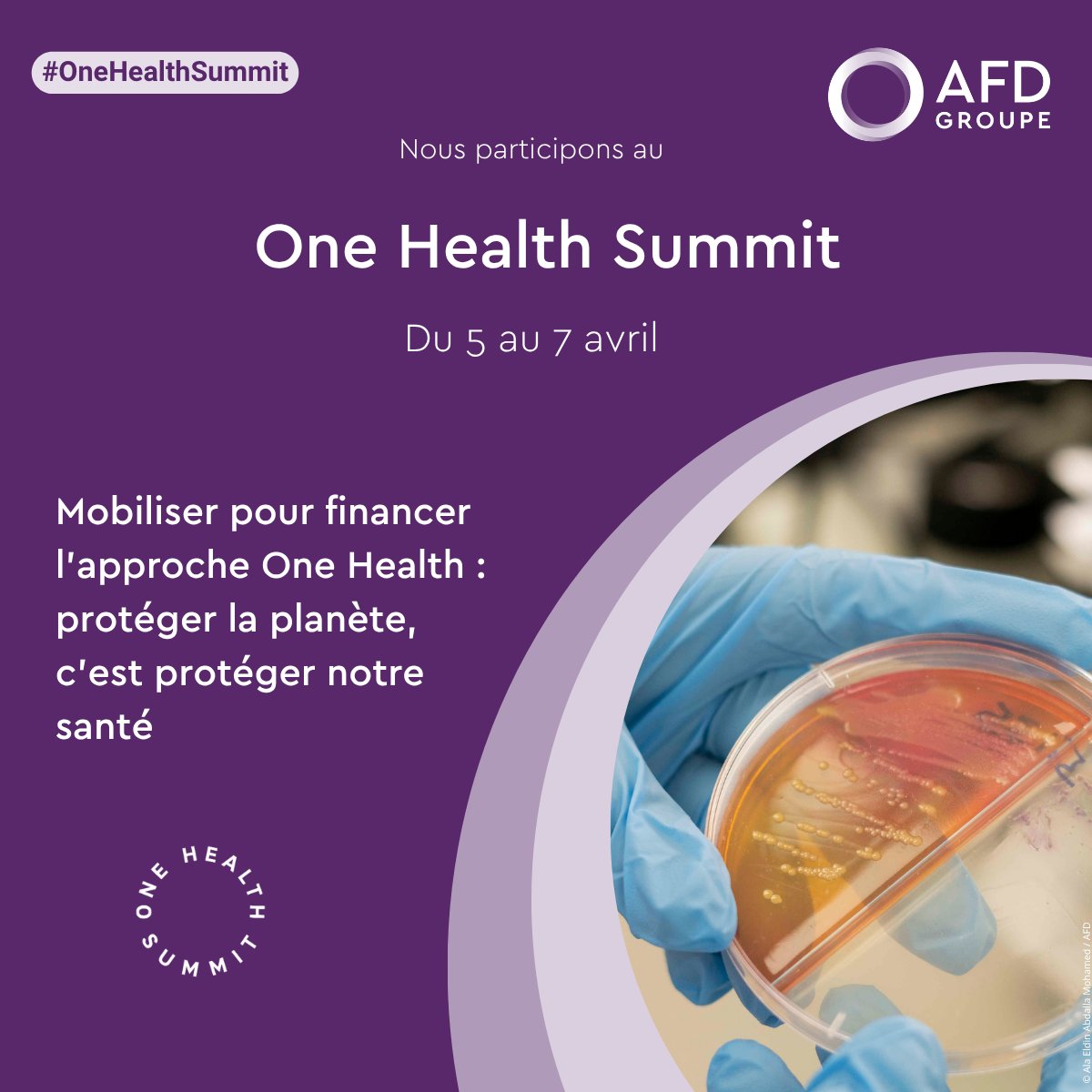 AFD_en 🇫🇷 🇪🇺 tweet media