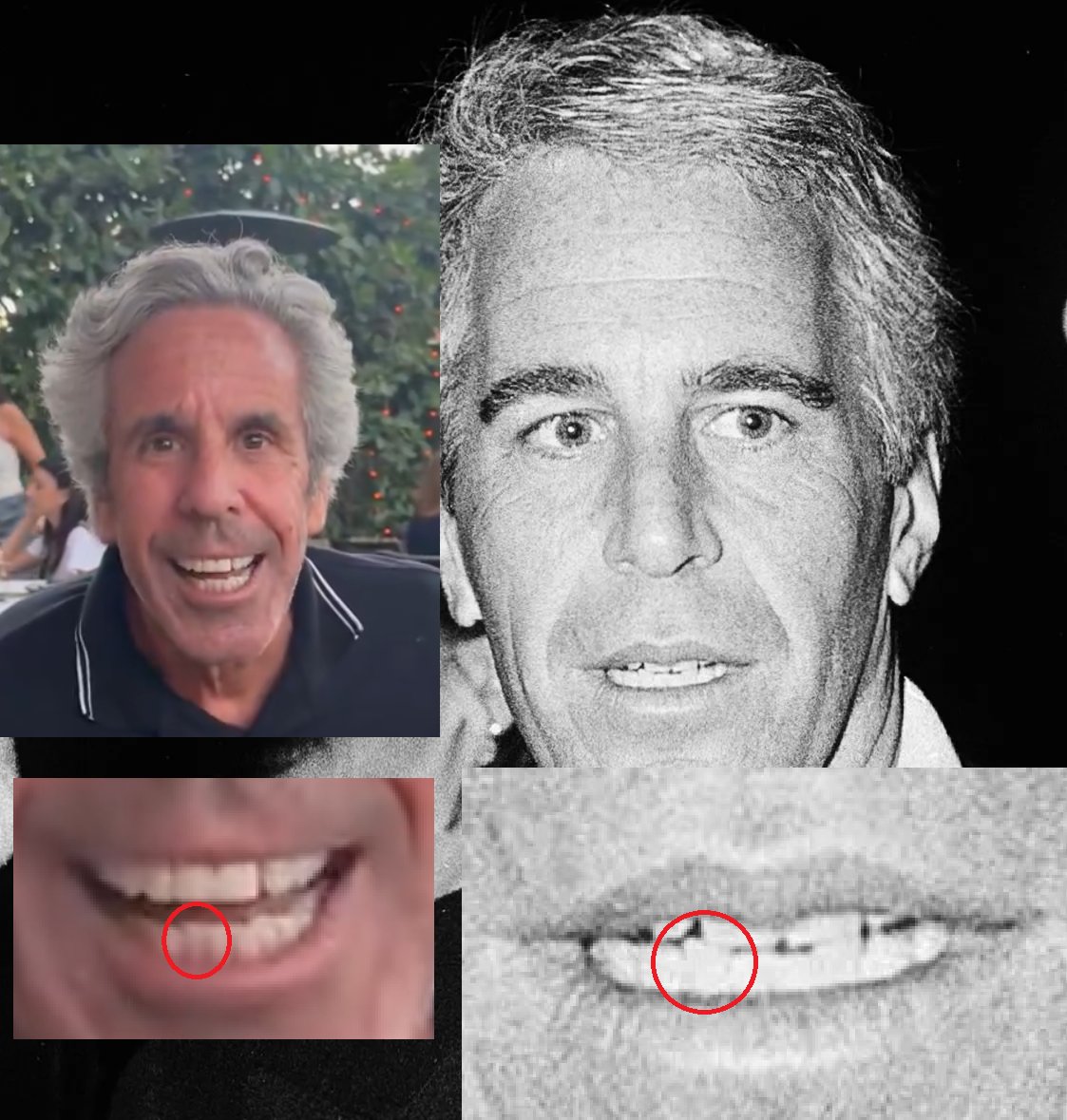 Chris NFT (33.3%){👻,👻}🦎 🌿🤌³¹³ tweet media