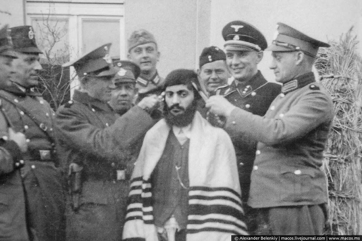 Тарас Переход 🇮🇱 tweet media