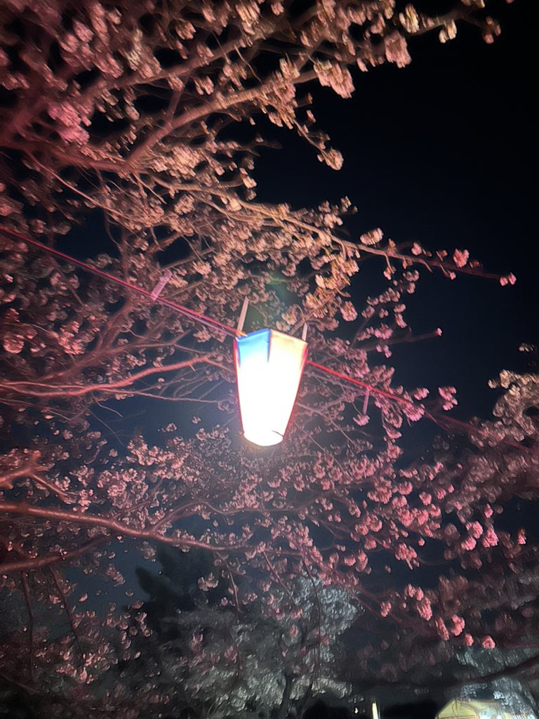 まな、17歳。もう春… tweet media