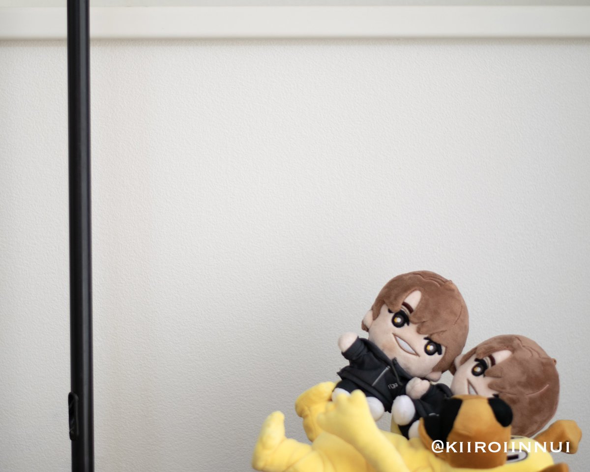 黄色いいっぬい tweet media