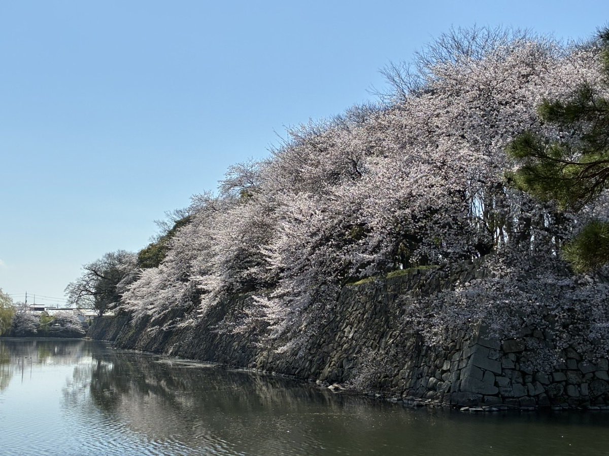 日常のシレン tweet media