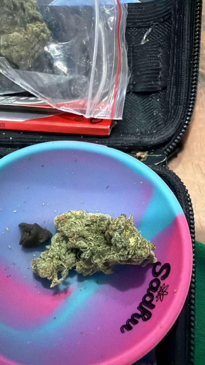 Bom dia sextou 💚💚💚