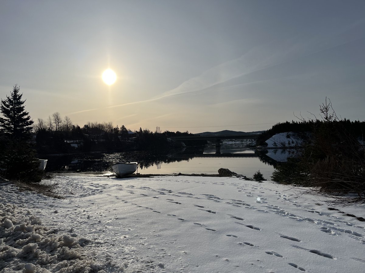 Taken on my walk this morning, Creston North, Marystown, NL #nlwx