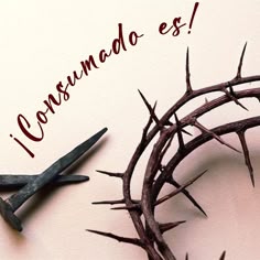 solojessie's tweet photo. Juan 19:30.
Cuando Jesús hubo tomado el vinagre, dijo: Consumado es. Y habiendo inclinado la cabeza, entregó el espíritu.
#Biblia #semasanta #viernessanto https://t.co/CYejgRjOqM